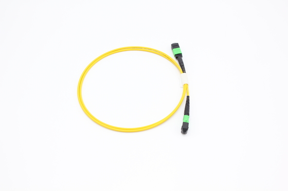 OM3/OM4 MPO Connector 12 Fiber MPO Trunk Cable 8/12/24F MTP MPO Cable για το Data Center Room